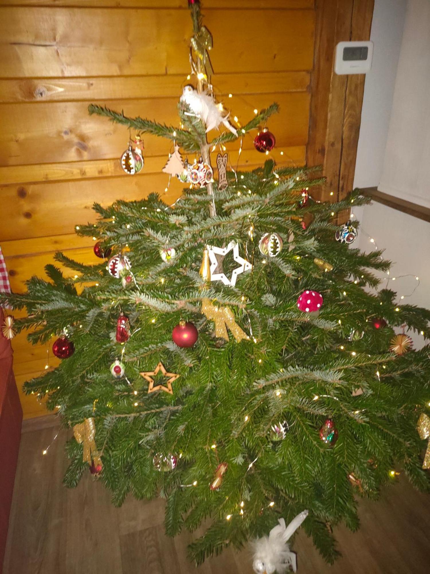 Chalupa Anezka Králíky Buitenkant foto